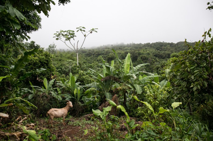 27100585520_6db116323f_k